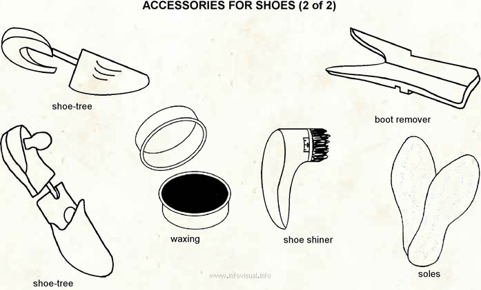 Accessories for shoes 2  (Visual Dictionary)